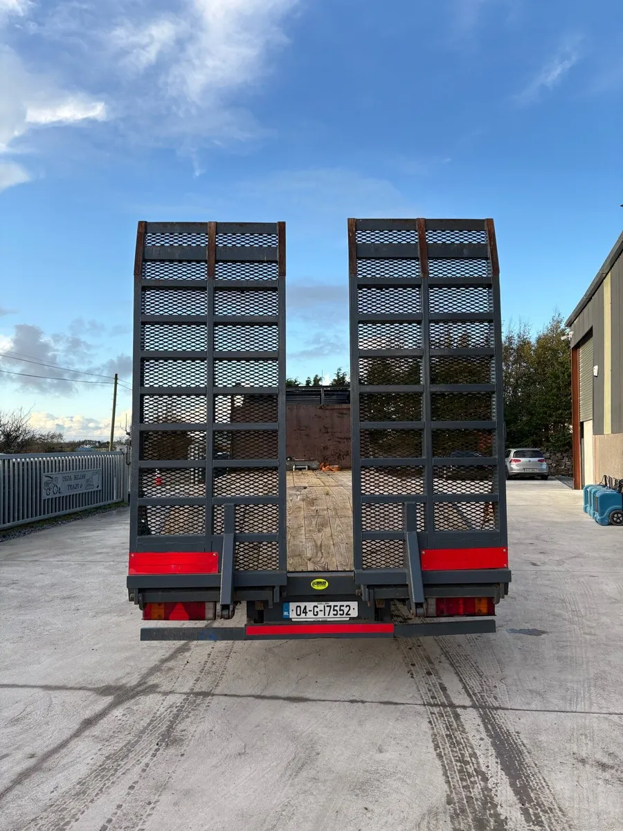 Mercedes beavertail - Image 3