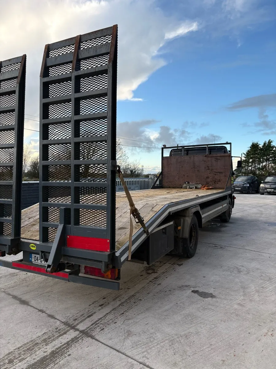 Mercedes beavertail - Image 4