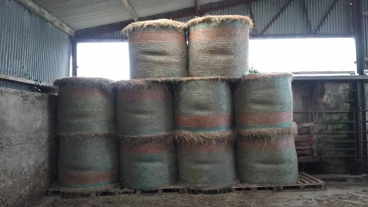 Hay and Haylaige - Image 1