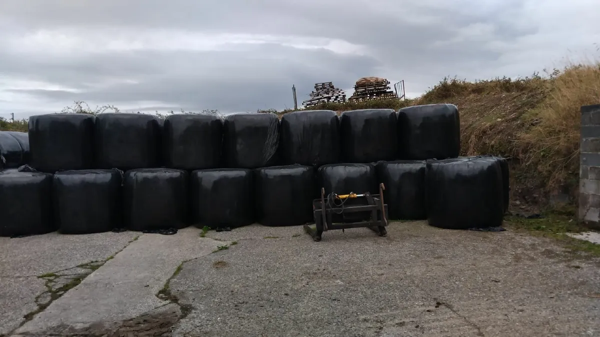 Hay and Haylaige - Image 2