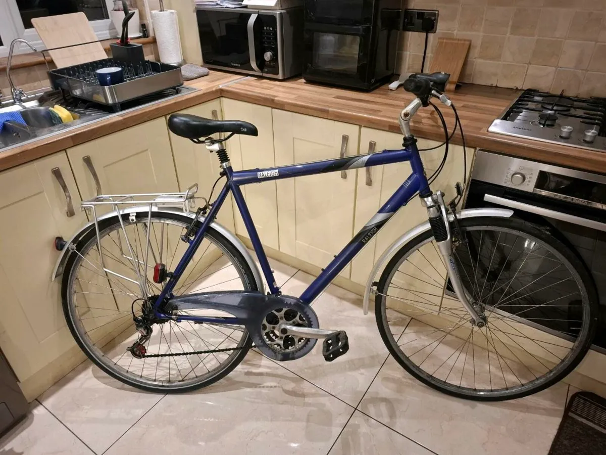 Raleigh Pioneer - Image 1