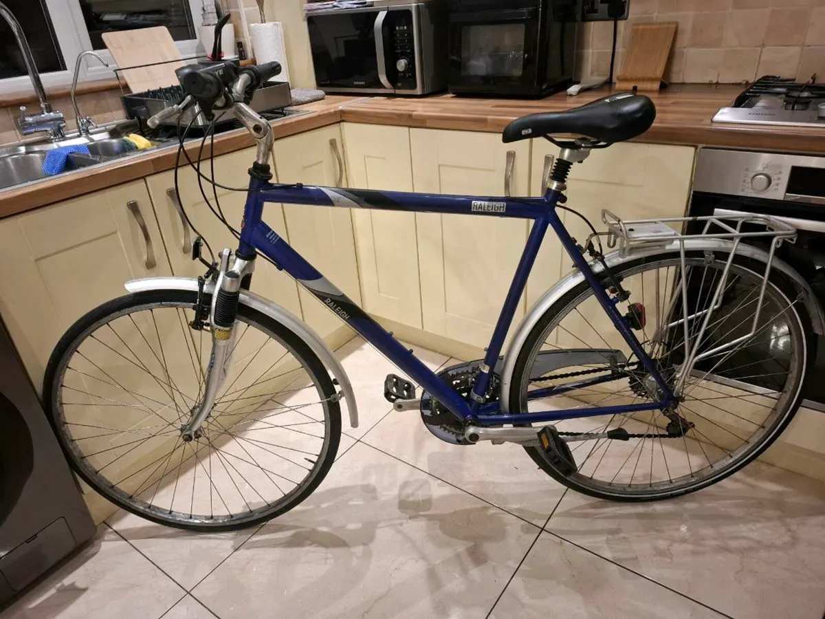 Raleigh Pioneer - Image 2