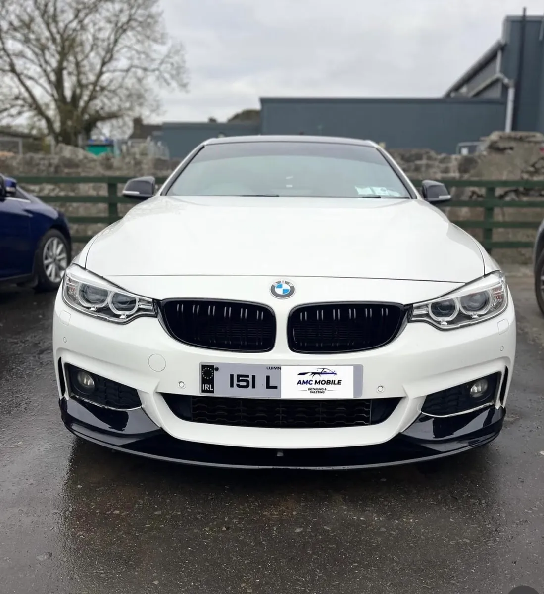 2015 BMW 420D F32 M sport 2dr automatic - Image 2