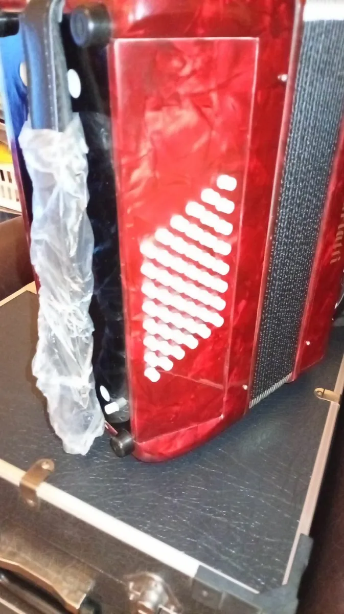 Accordian - Image 3