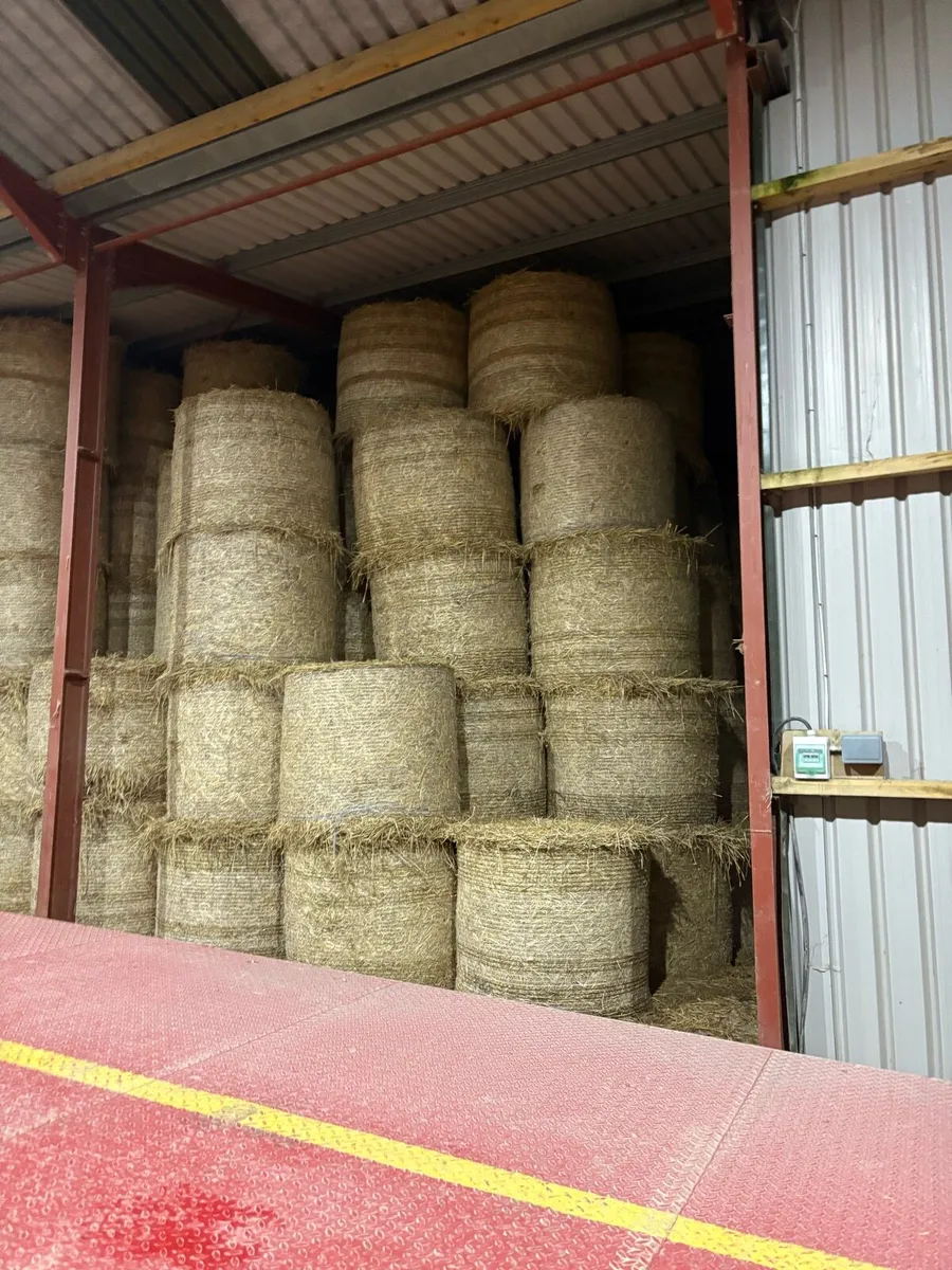 Wheaten and barley straw