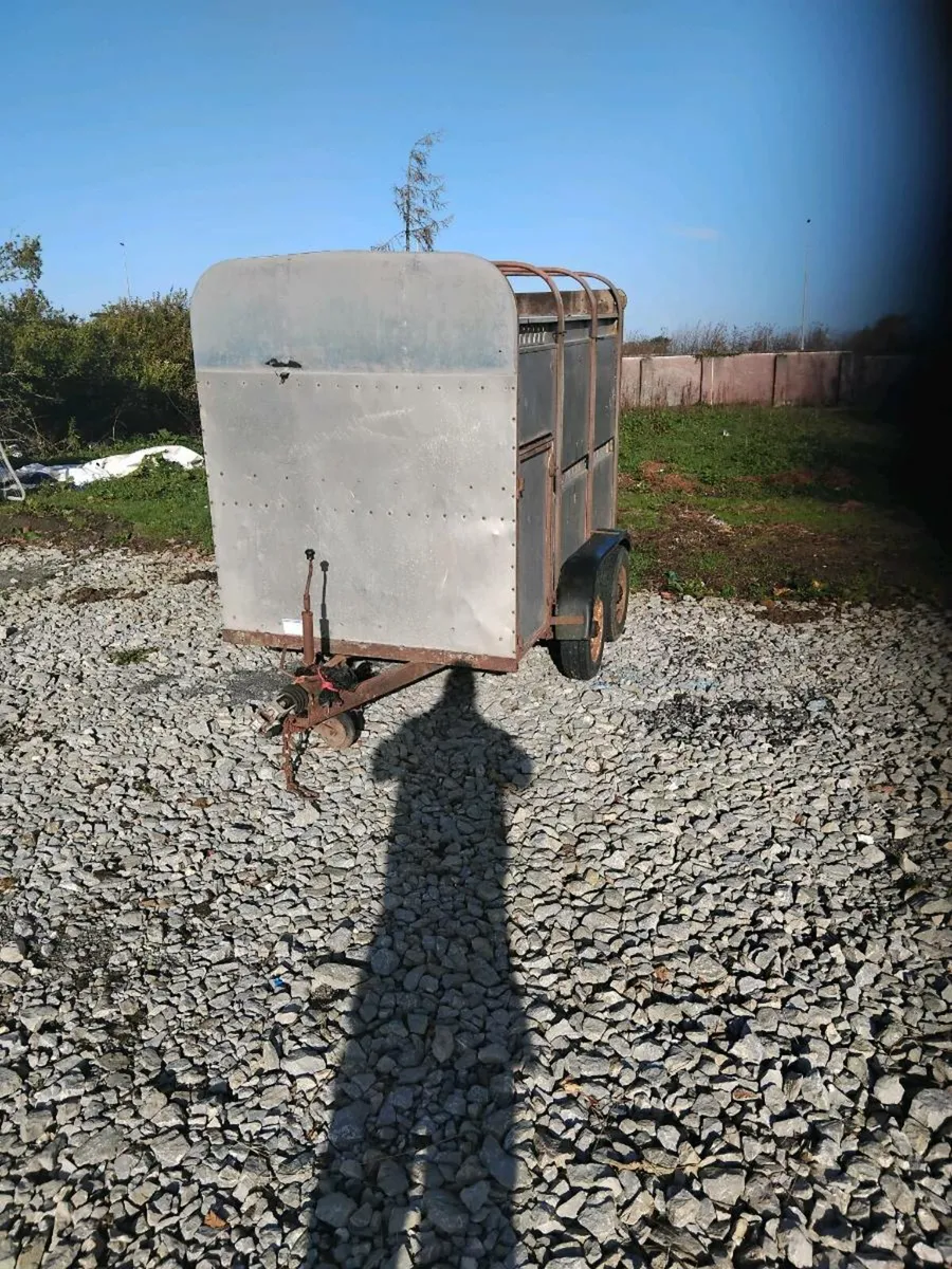 8x5 cattlebox needs tlc - Image 1