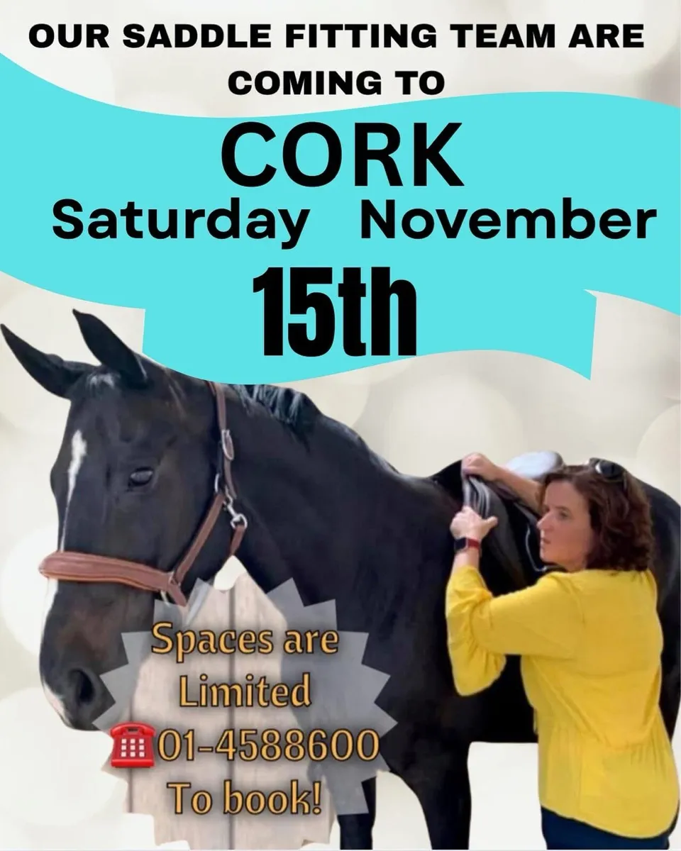 SADDLE FITTING IN CORK 15th Nov
