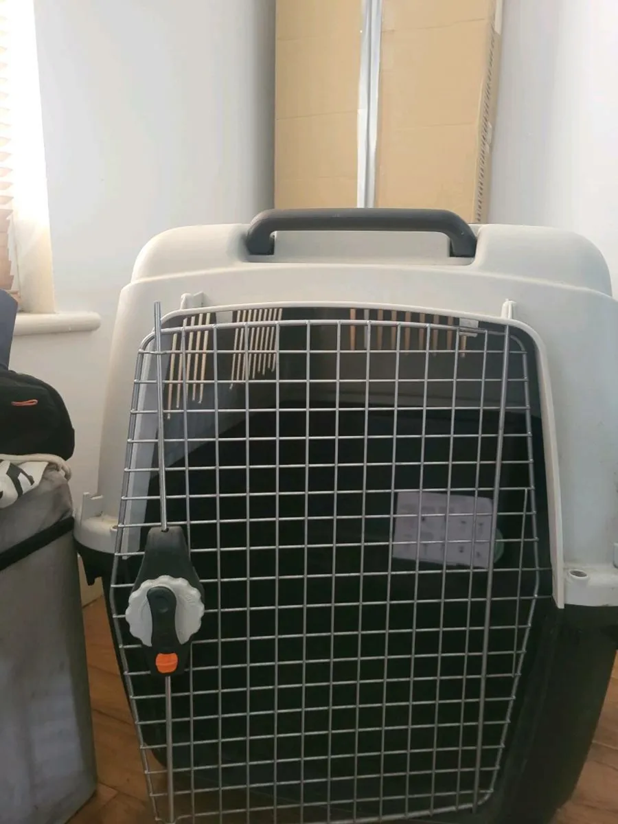 Dog Travel Crate - Image 1