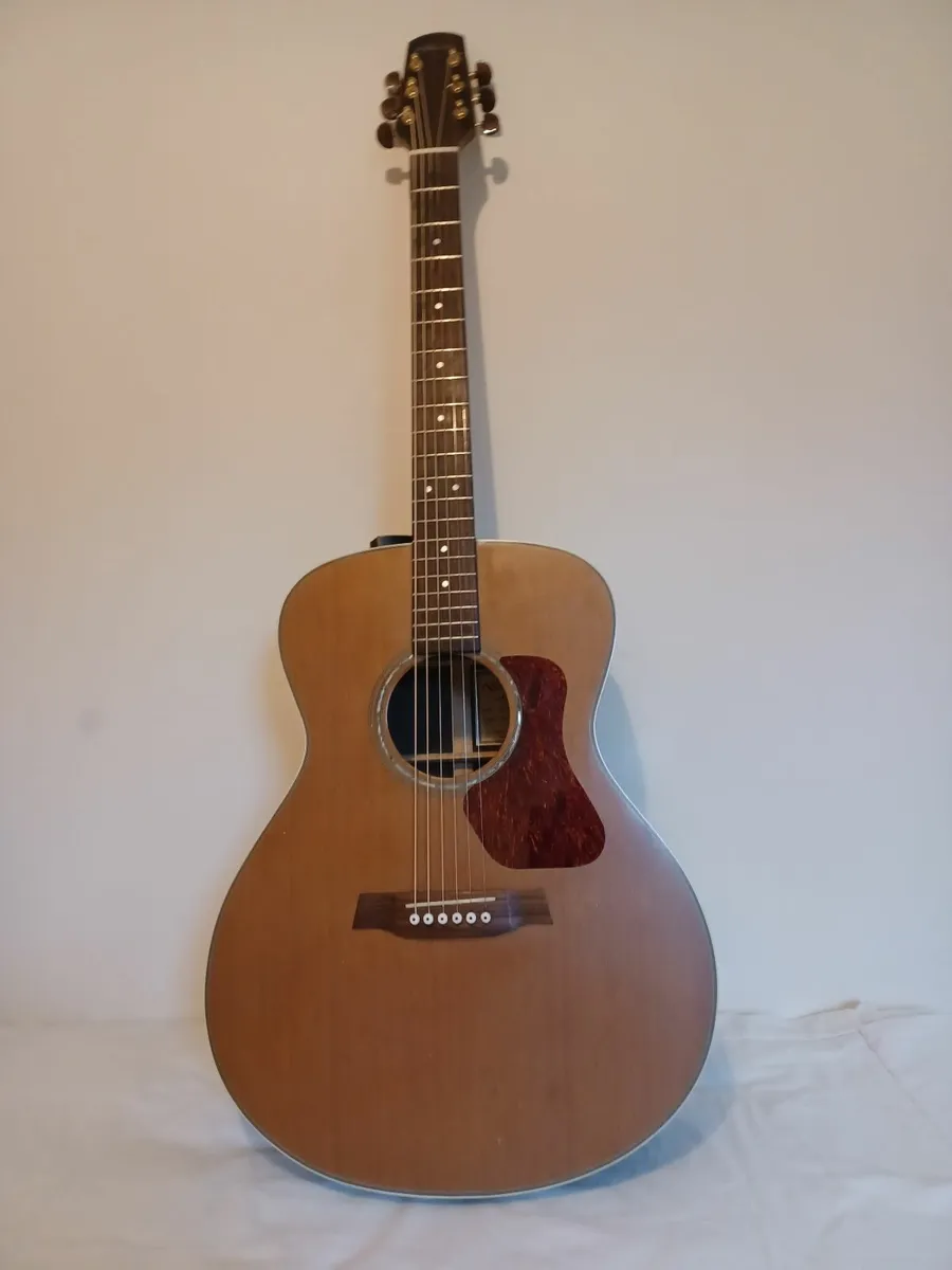 Walden Guitar - Image 1