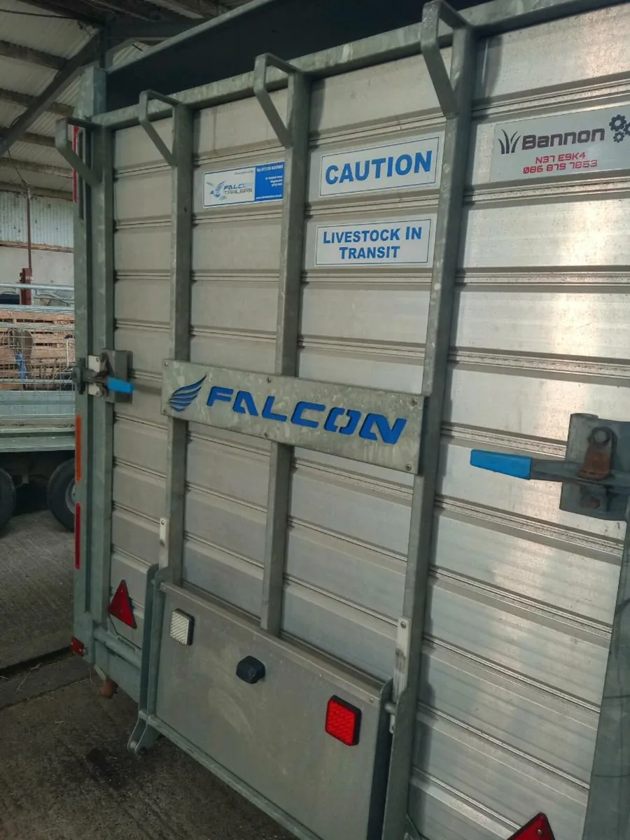 Falcon 14x6 - Image 1