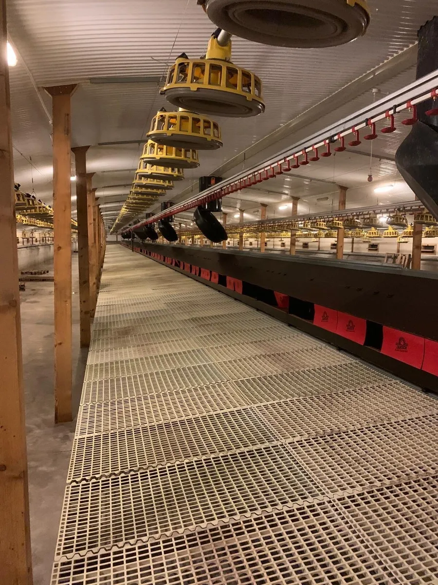 Broiler breeder equipment