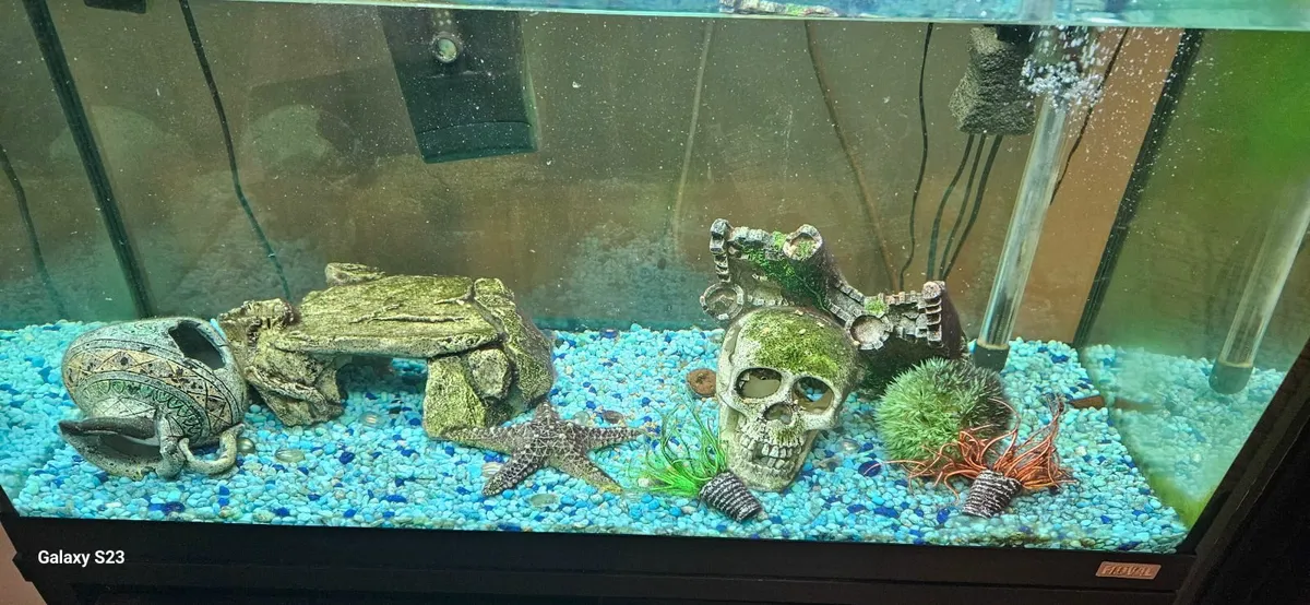 Fish tank - Image 4