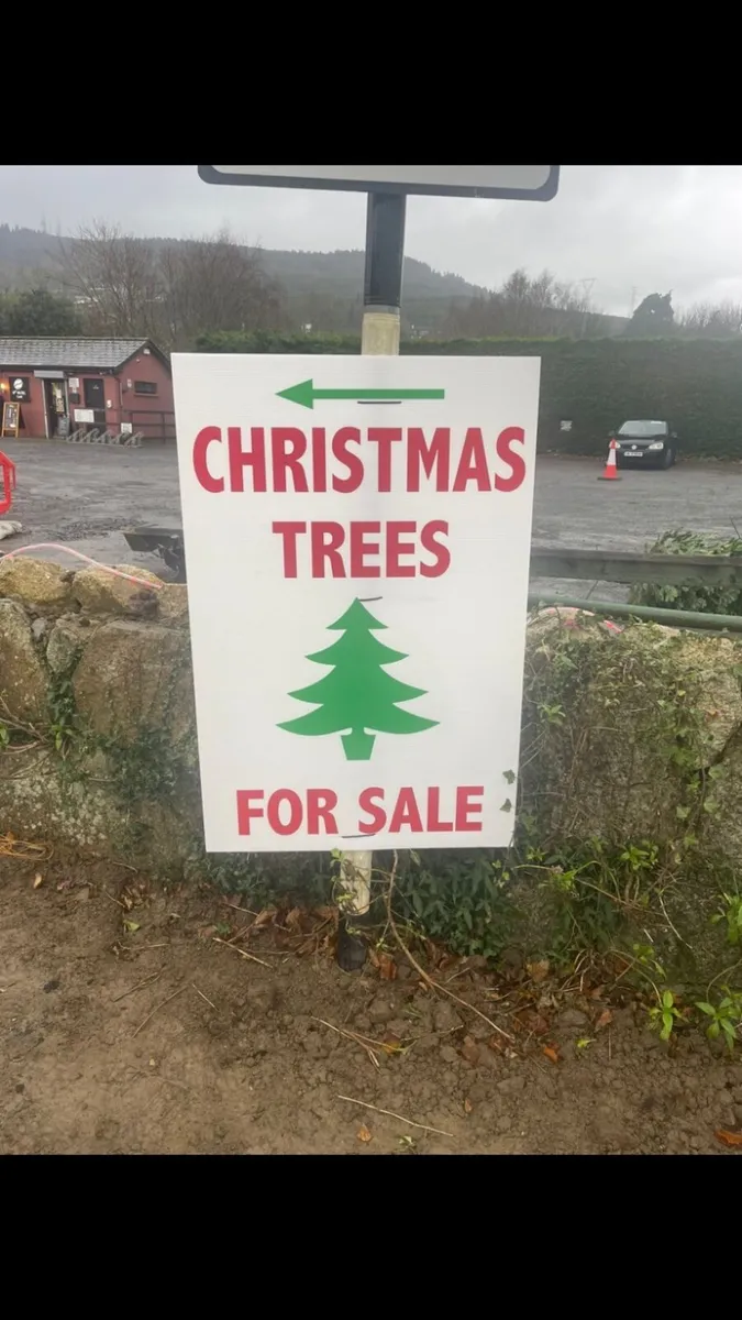 Christmas Tree Signs made… - Image 4
