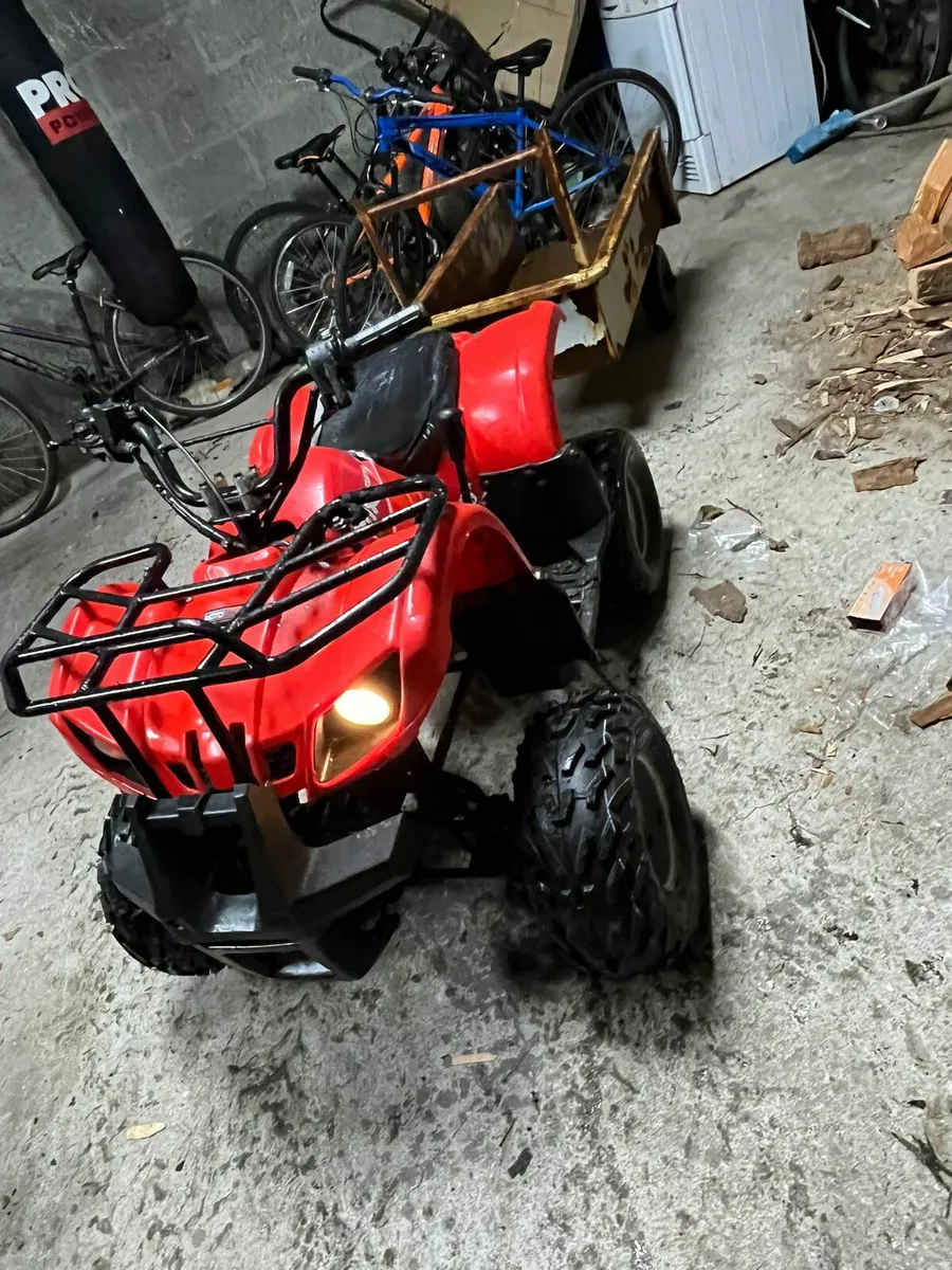 110 fox quad - Image 1