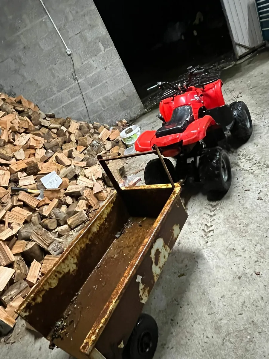 110 fox quad - Image 2