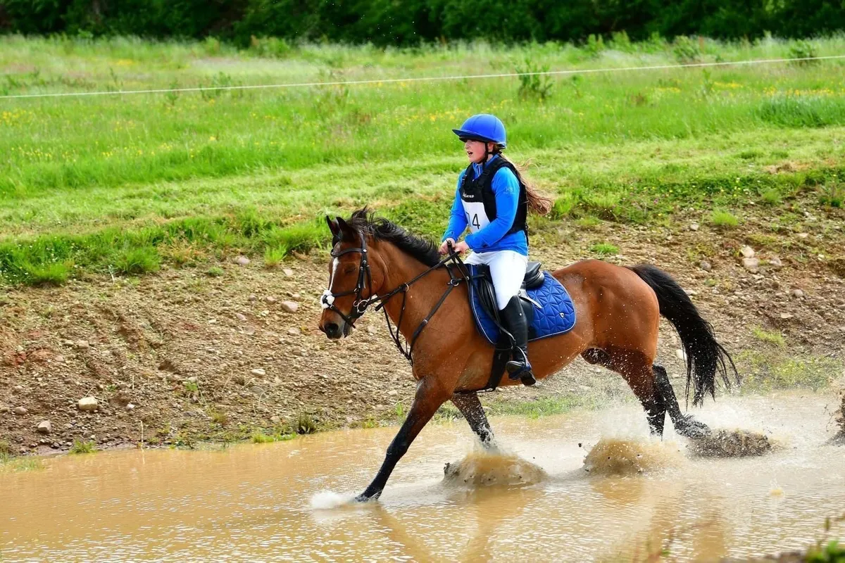 Ideal pony clubber - Image 1