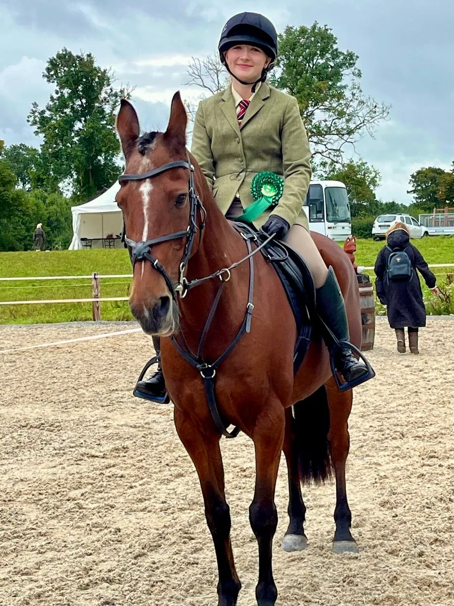 Ideal pony clubber - Image 2