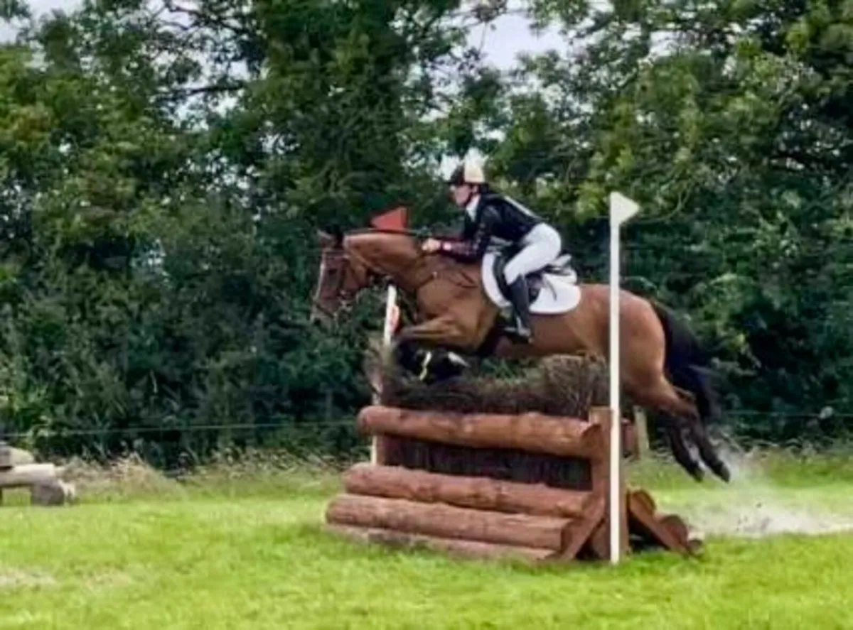 Ideal pony clubber - Image 3