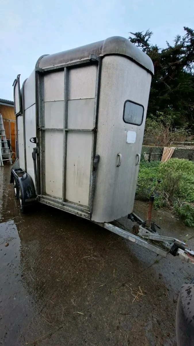 Ifor Williams 505 Horsebox - Image 2