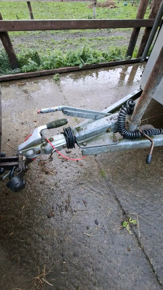 Ifor Williams 505 Horsebox - Image 3