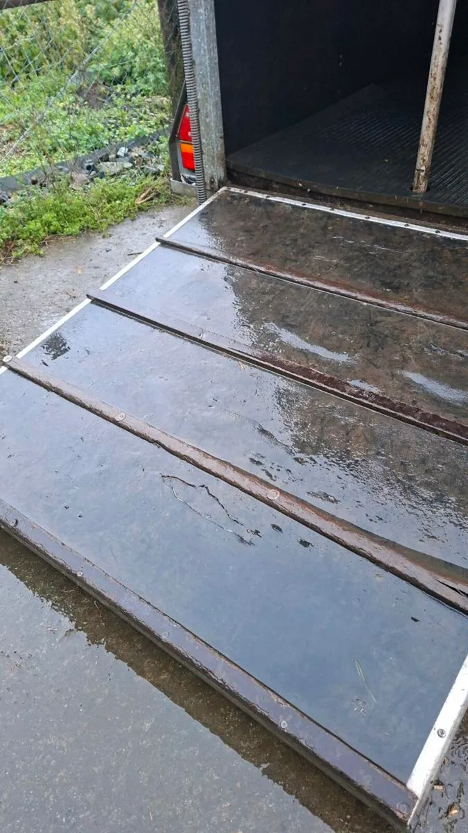 Ifor Williams 505 Horsebox - Image 4