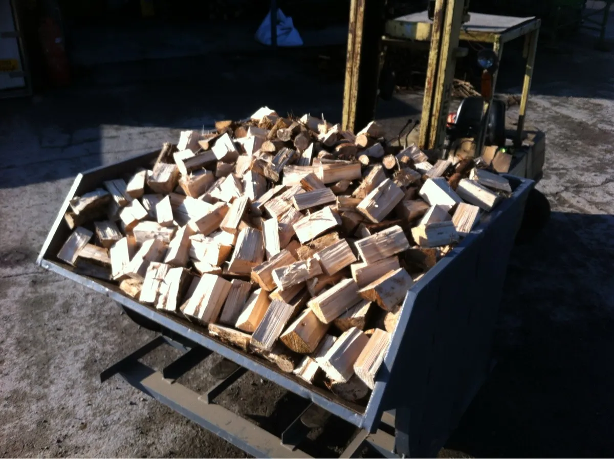Firewood - Image 1