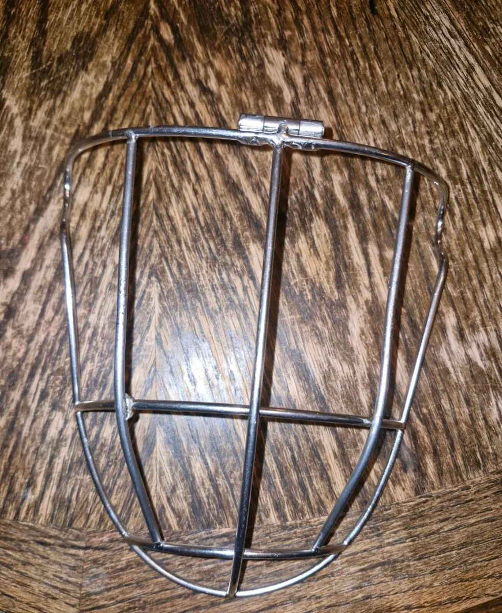 Faceguards [hurling] - Image 1