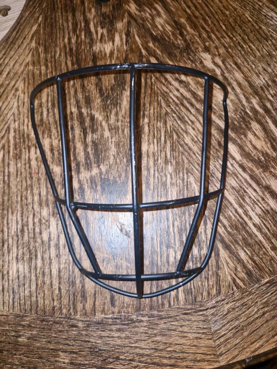 Faceguards [hurling] - Image 2