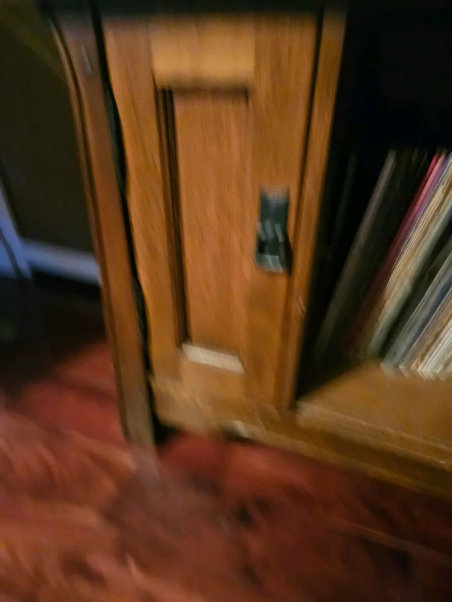 TV/ Music Storage Unit - Image 4