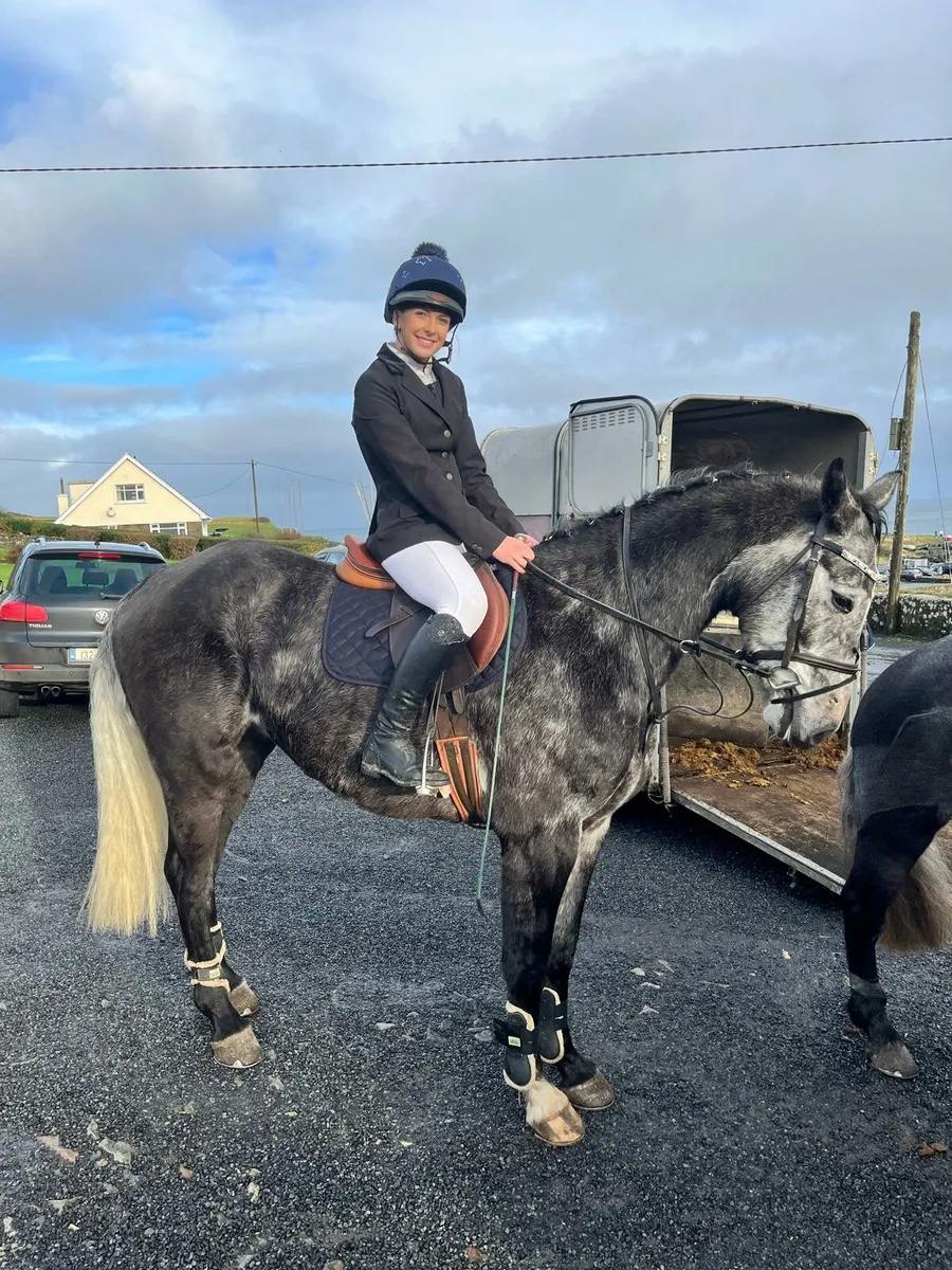 6y old horse - Image 1