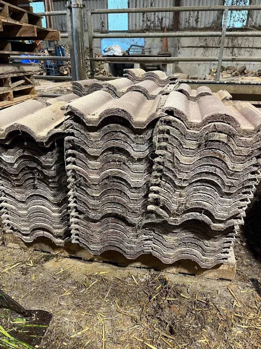Roof Tiles - Image 3