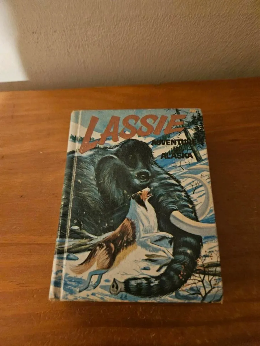 Vintage Children's Book Lassie - Image 1