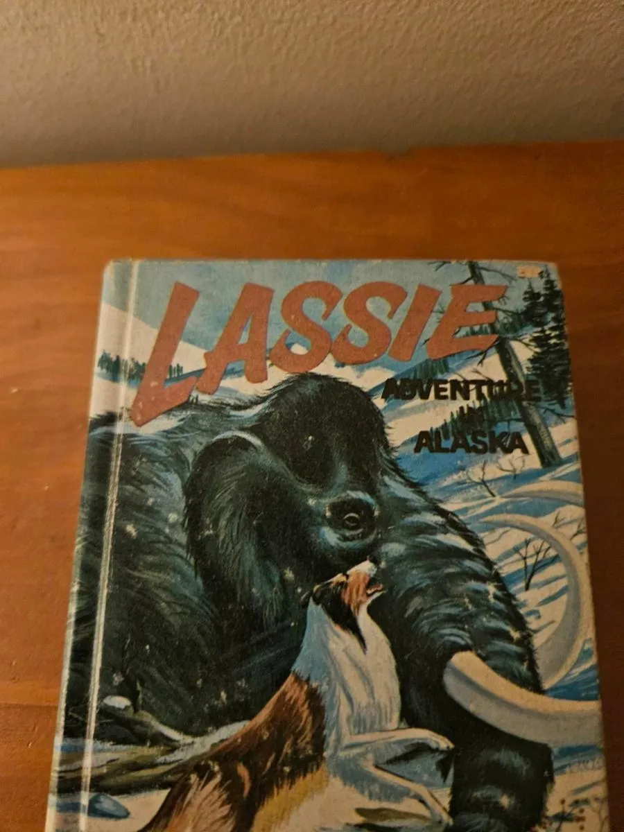Vintage Children's Book Lassie - Image 2