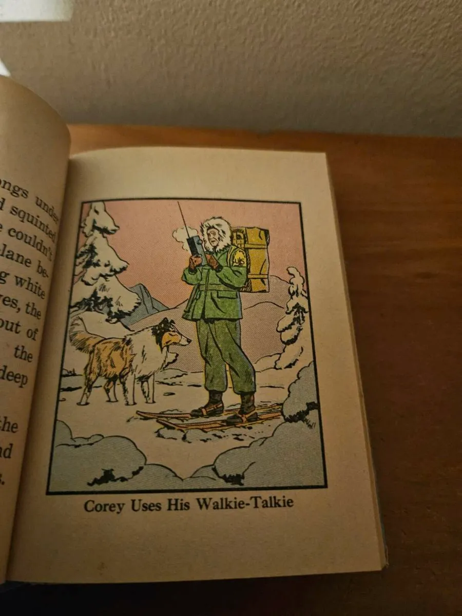 Vintage Children's Book Lassie - Image 4