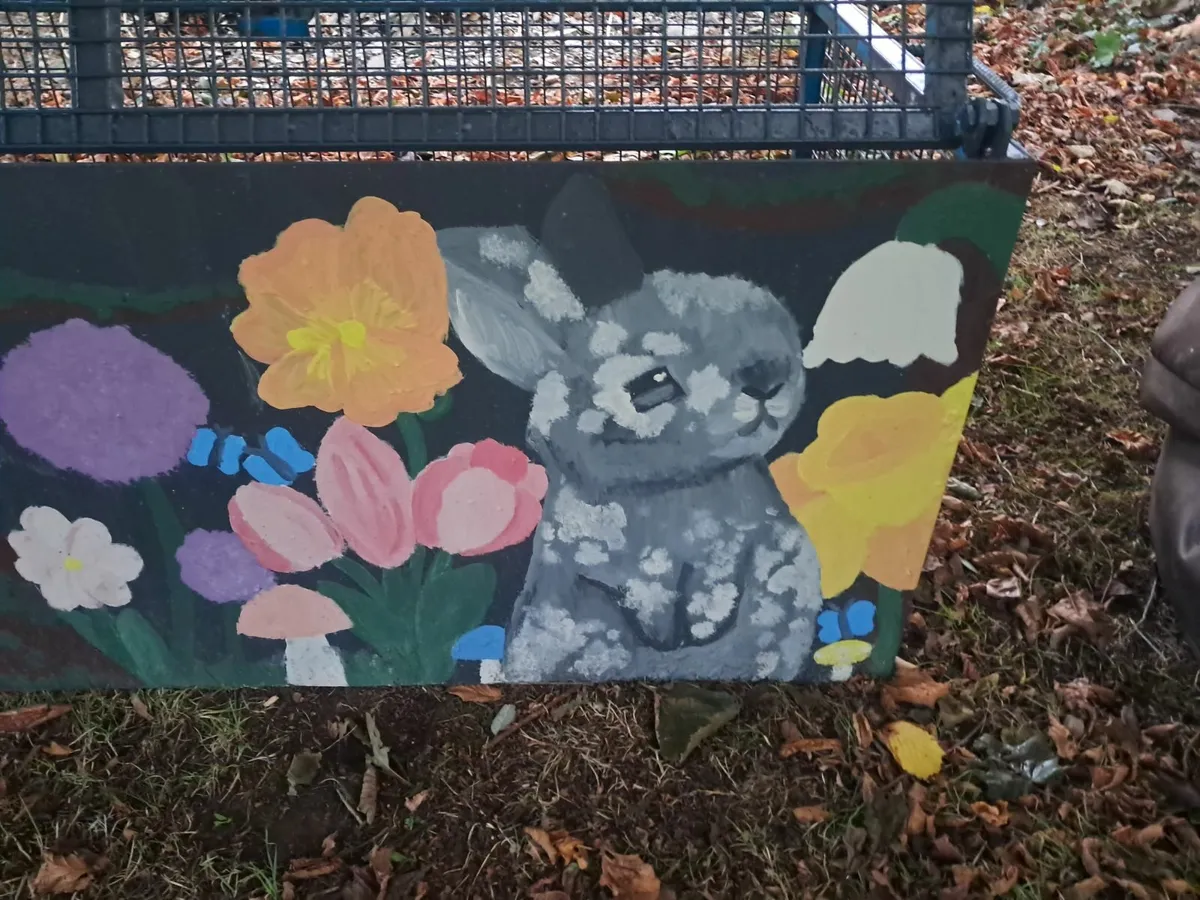 Rabbit cage..home made - Image 2