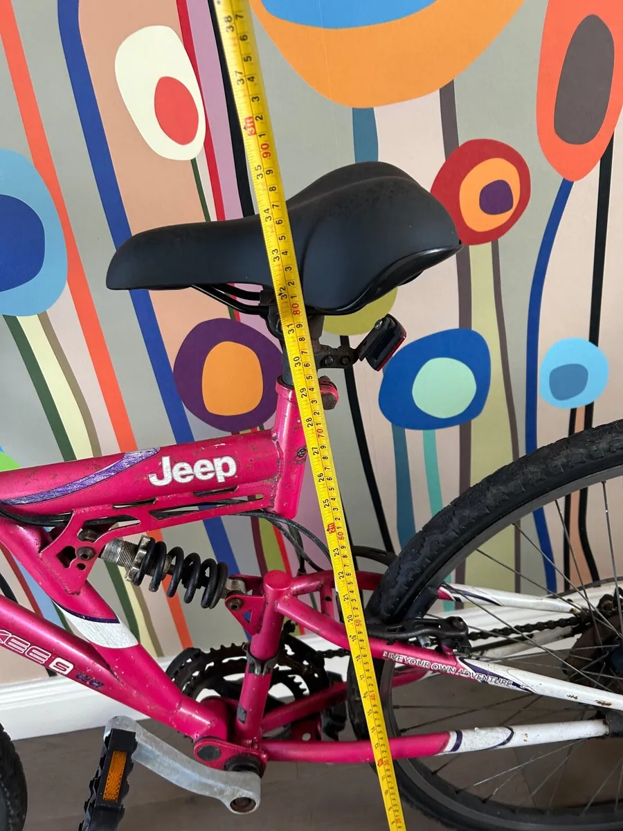 Mountain Bike - Image 2