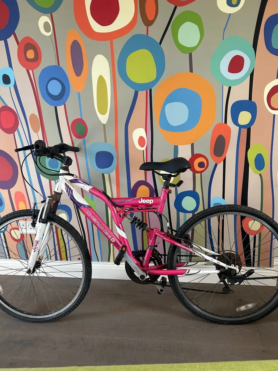 Mountain Bike - Image 1