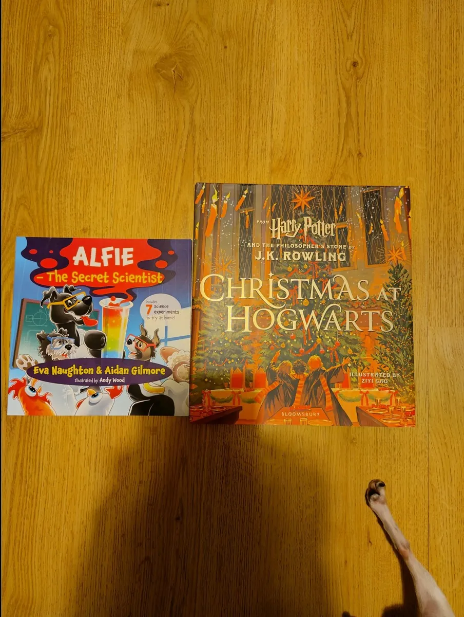 Children books Christmas - Image 2