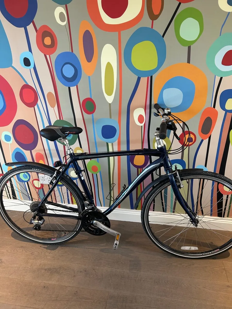Raleigh Urban 2 Men’s Bike - Image 1