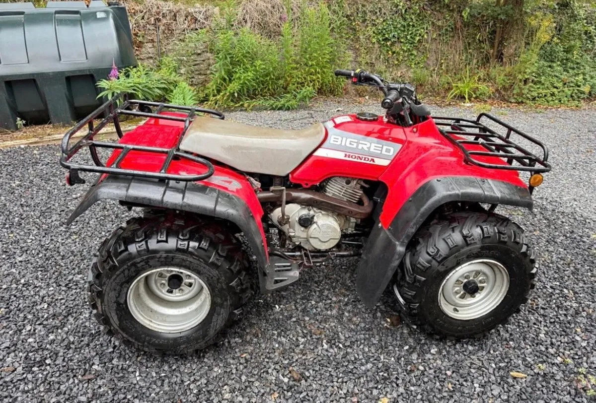 Honda Big Red TRX 300 - Image 1