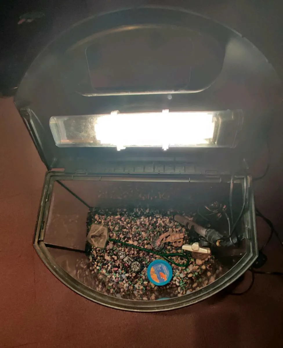 Fish tank - Image 1