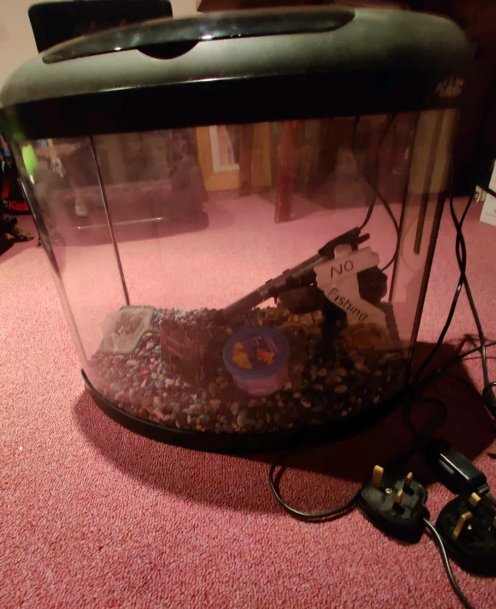 Fish tank - Image 4