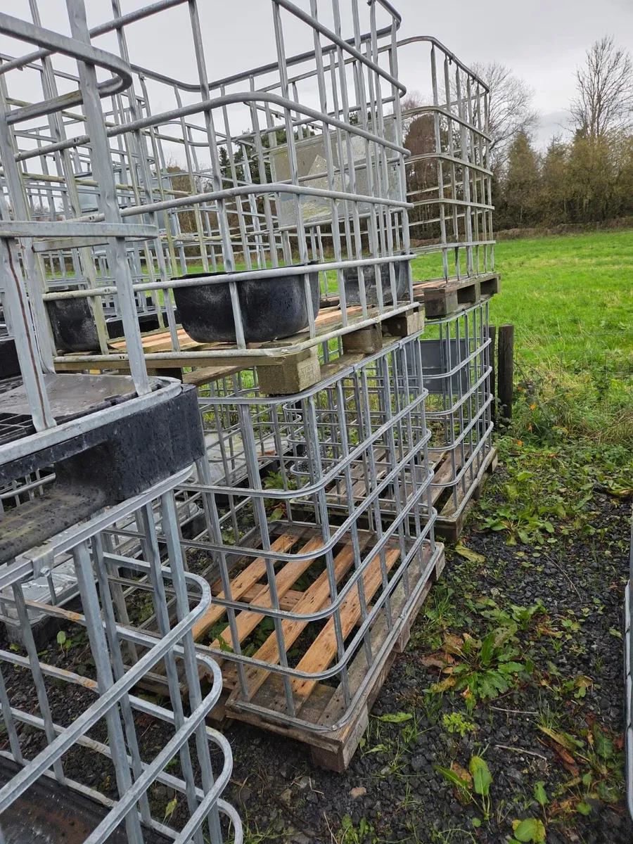 IBC Cages - Image 3
