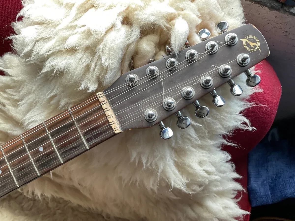 Seagull 12 string guitar - Image 3