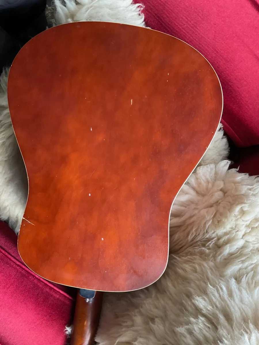 Seagull 12 string guitar - Image 4