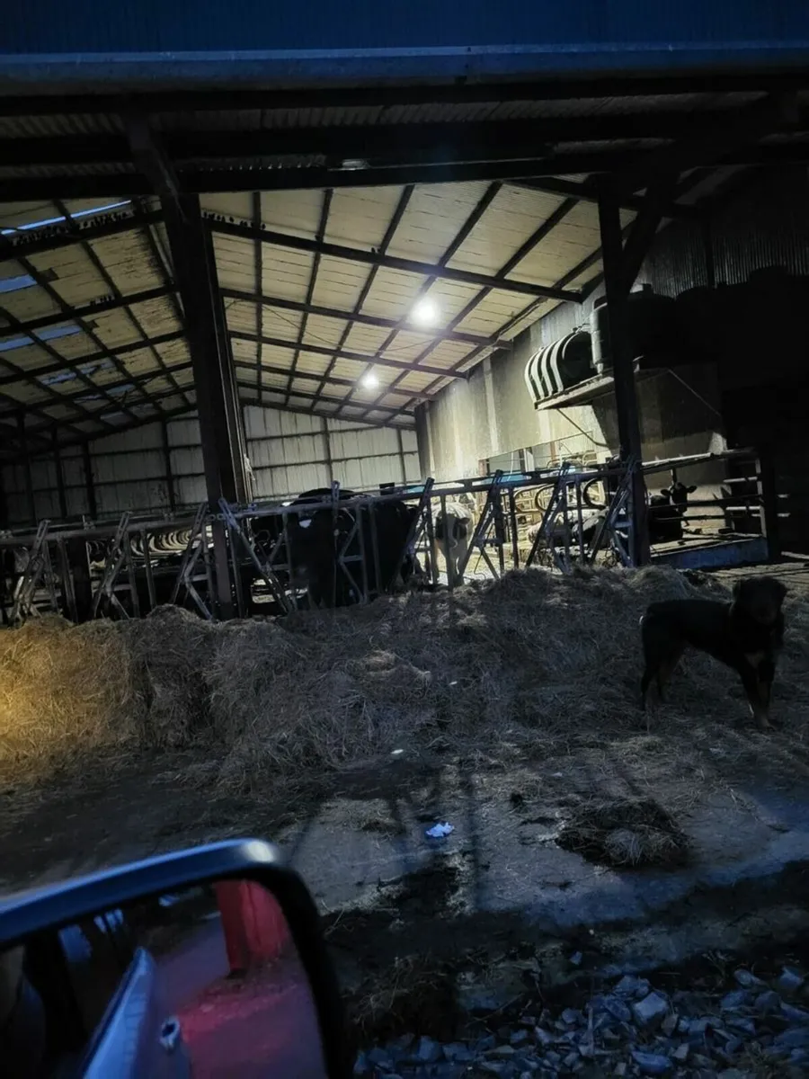 Led lights warehouse garage 300w UFO HIGH Bay 20 - Image 2