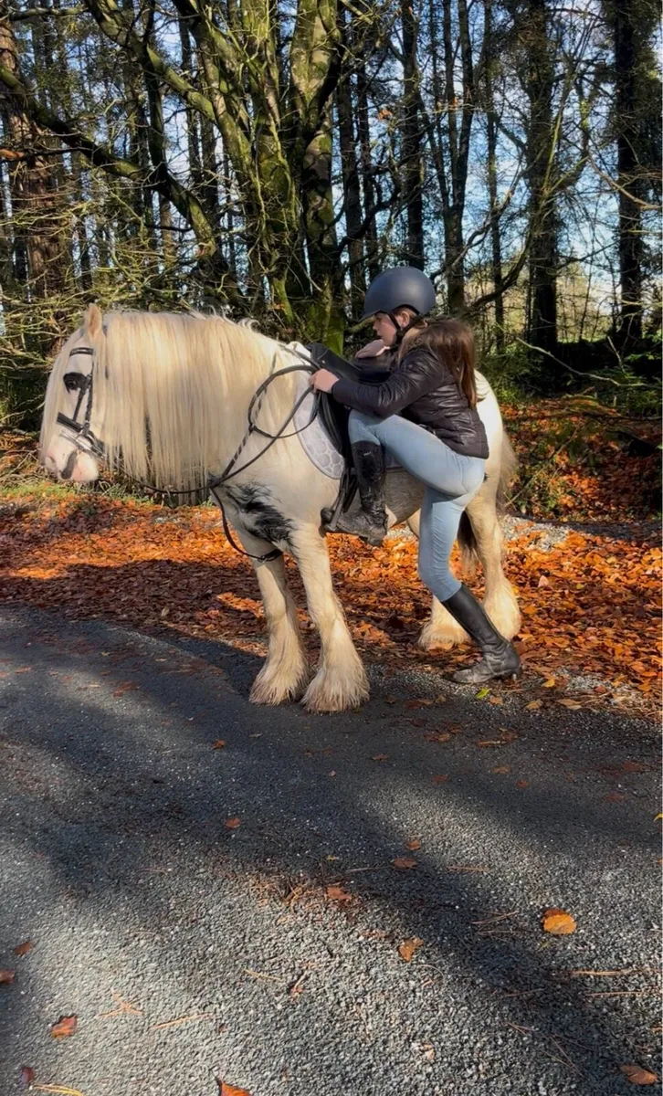 🍀patch 13.2 Irish cob gelding🍀 - Image 4