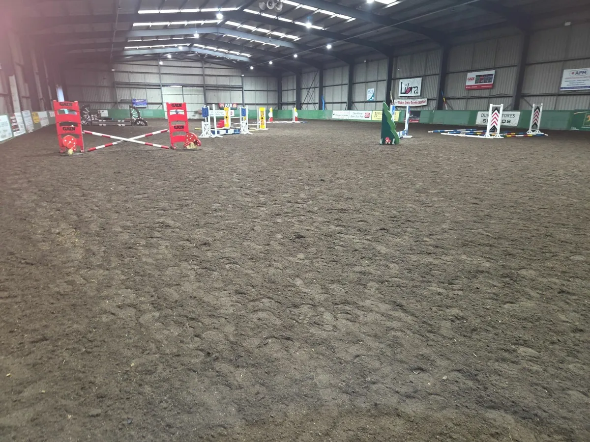 Arena surface - Image 2