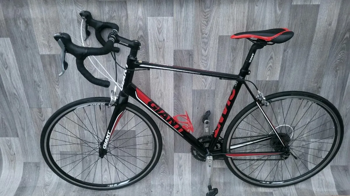 Giant Defy - Image 2