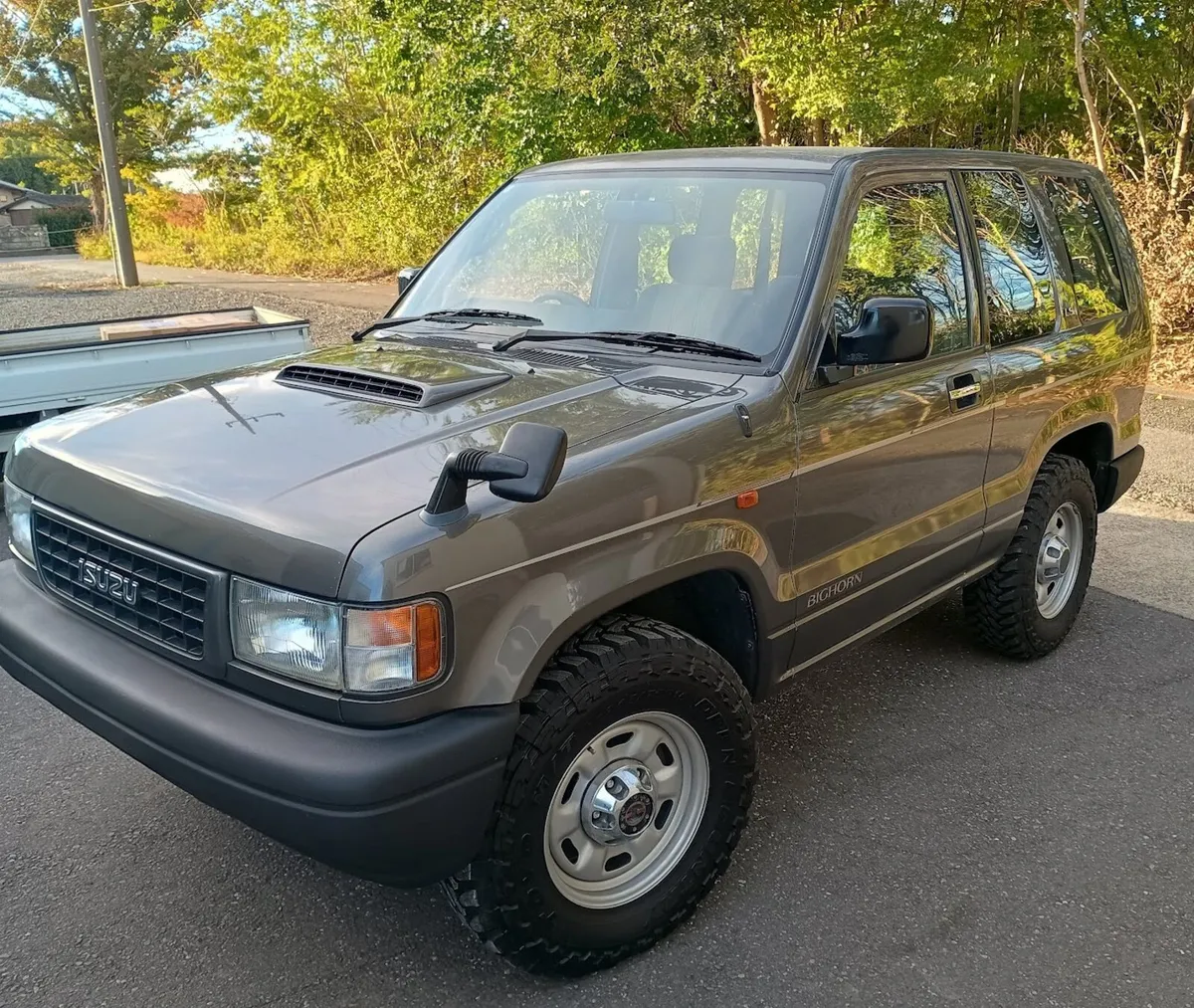 Isuzu Bighorn LS 2.1D Collector Grade - Image 1